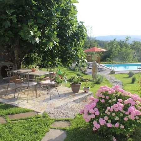 Holiday Home Villa Mavrici Buzet Exterior foto