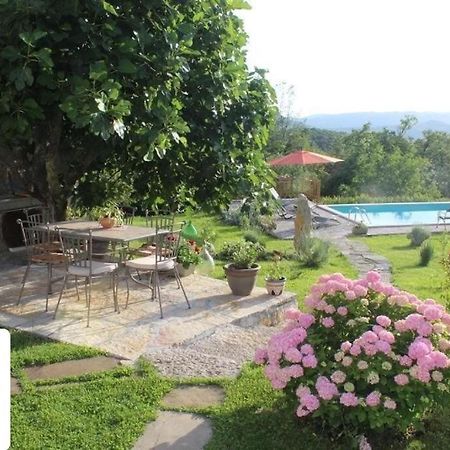 Villa Mavrici, Neighbors Free Buzet Exterior foto