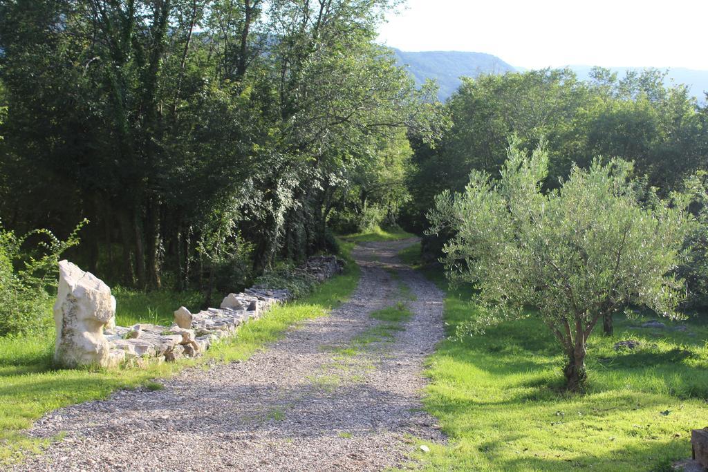 Villa Mavrici, Neighbors Free Buzet Exterior foto