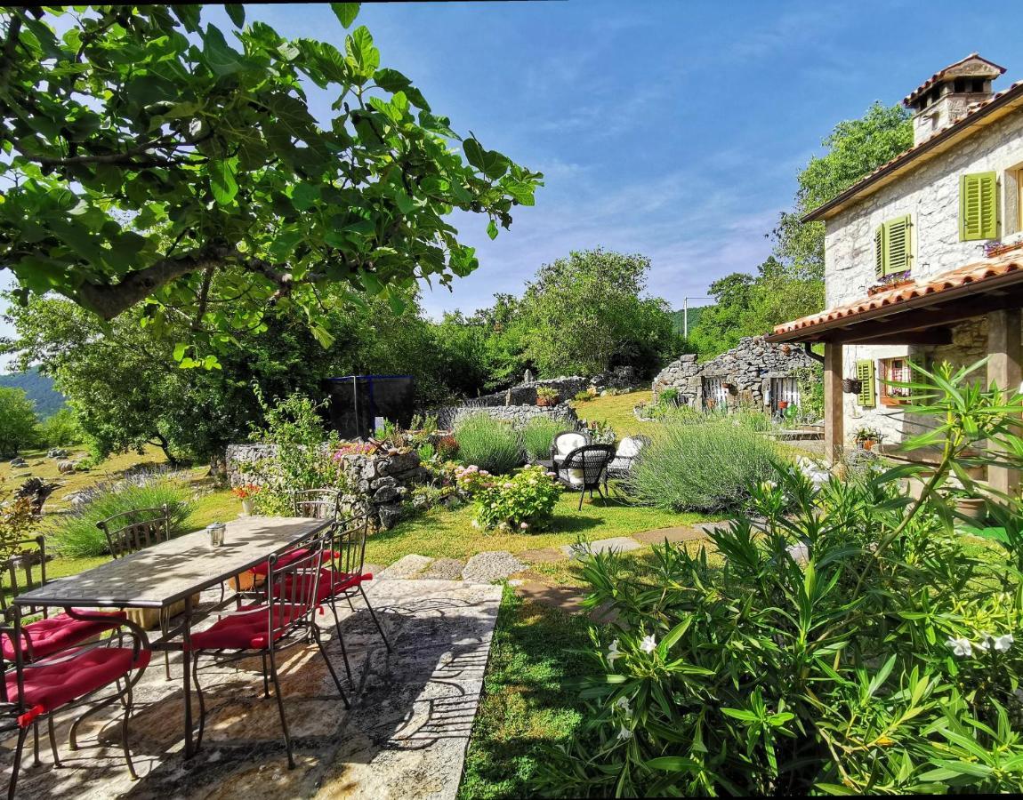 Villa Mavrici, Neighbors Free Buzet Exterior foto